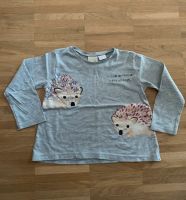 Zara Baby Langarmshirt Igel Größe 104 Nordrhein-Westfalen - Krefeld Vorschau