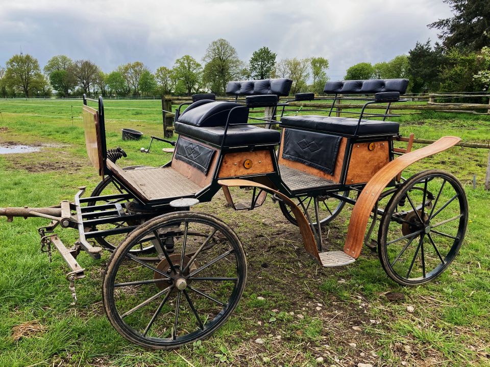 Kutschfahrten in der Schaalseeregion Zarrentin in Zarrentin