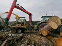 Gefahrbaumfällung - Entsorgung - Strauchwerk Niedersachsen - Edemissen Vorschau