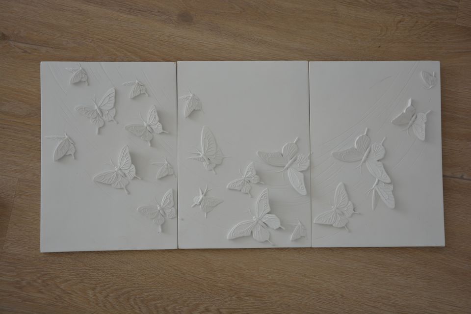 3D Bild Relief Schmetterling in Fulda