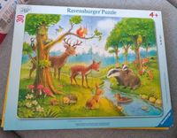 Ravensburger 061389 Rahmenpuzzle: Heimische Waldtiere 30 Teile Leipzig - Grünau-Ost Vorschau