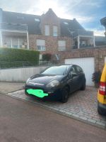 Fiat Punto 1.2 8V Active Start & Stop Aachen - Aachen-Mitte Vorschau