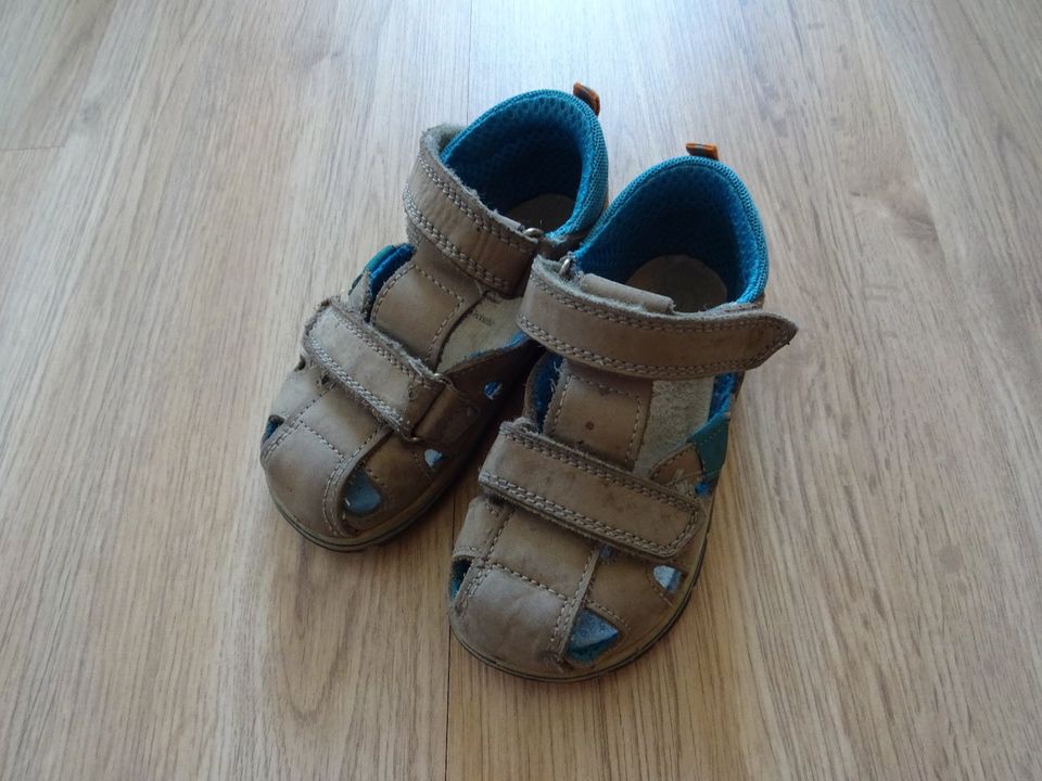 Trekkingsandalen für Jungs von Hush Puppies, Gr. 25 in Bernsdorf