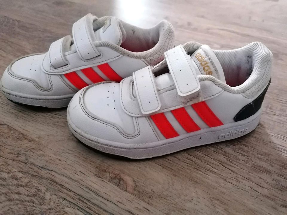 Adidas Sneaker Gr. 27 in Cunewalde