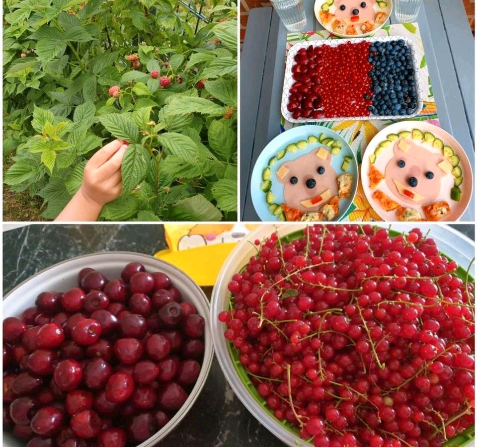 Kindertagespflege "Die Kichererbsen" / Tagesmutter /Freie Plätze! in Ladbergen