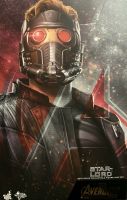 Star-Lord 1/6 Avengers Infinity War Guardians Hot Toys Sideshow N Rheinland-Pfalz - Mayen Vorschau