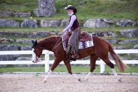 Reitstunde Beritt Reitunterricht Western Freizeit bis Reining Hessen - Ulrichstein Vorschau