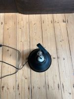 Terrarium Lampe Nordrhein-Westfalen - Recklinghausen Vorschau