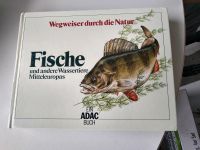 Fische Kochbuch wie neu Rheinland-Pfalz - Bingen Vorschau