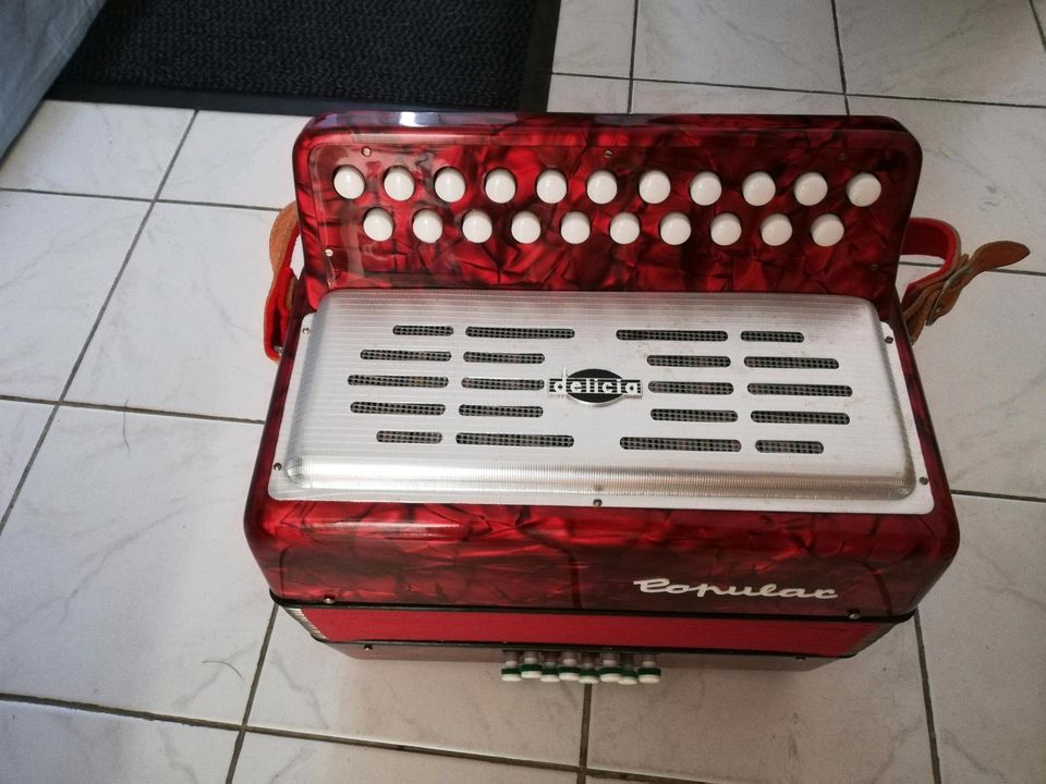 Delicia Popular Melodeon in Isenbüttel