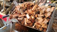 Holz abzugeben (Feuerholz,Brennholz,Kaminholz) Nordrhein-Westfalen - Lünen Vorschau