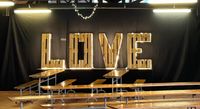 LOVE Buchstaben aus Paletten mit LED Beleuchtung Hochzeit Nordrhein-Westfalen - Marsberg Vorschau