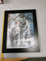 3d Bild Tiger Nordrhein-Westfalen - Paderborn Vorschau