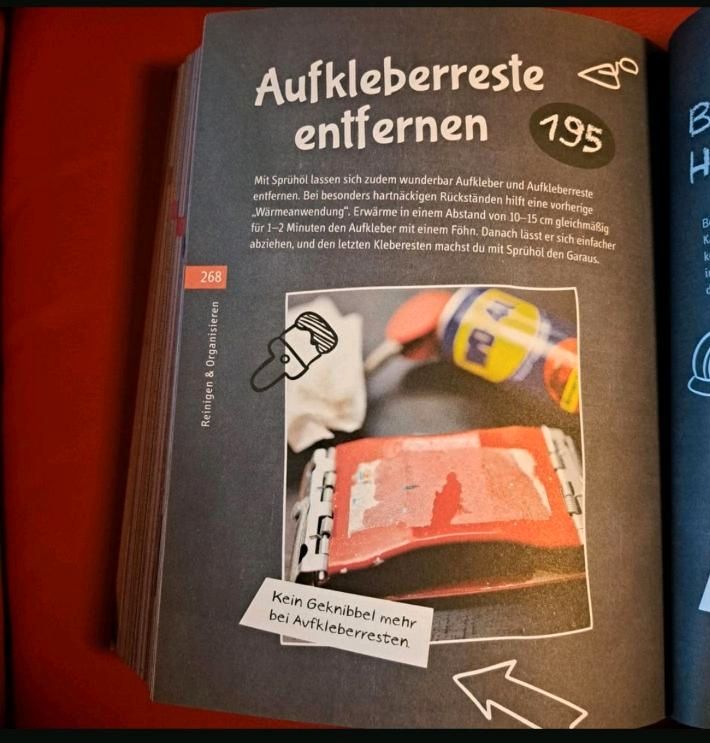 Buch Trick 17 Heimwerken Tipps Bauen Renovieren Sanieren DYS in Winnemark