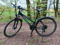 Bergamont helix 3.4 Damen Fahrrad 28 Zoll; 46 cm Bayern - Pfreimd Vorschau