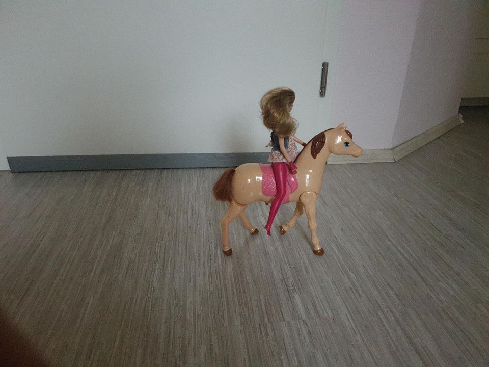 Barbie plus pferd in Dortmund
