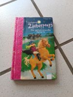 Die Reise mit den Zauberponys Kinderbuch Saarland - Namborn Vorschau