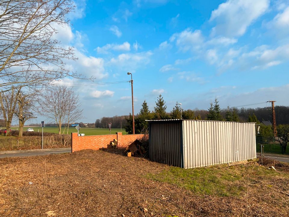 Baugrundstück: Verwirklichen Sie Ihren Traum vom Eigenheim auf 708m² zum unschlagbaren Preis! in Bad Lausick