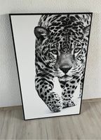 Großes Leinwandbild Leopard Nordrhein-Westfalen - Sprockhövel Vorschau