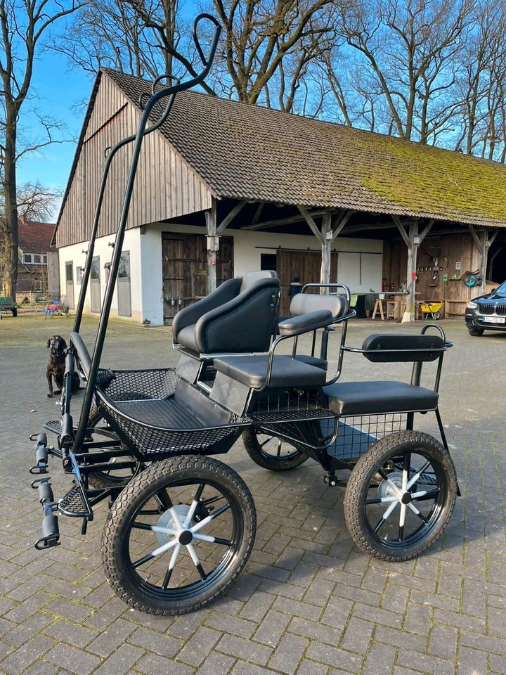 Marathonkutsche Fahrschulwagen Pony in Emsbüren