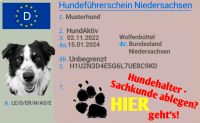 Hundeführerschein Hundehaltersachkunde Niedersachsen - Wolfenbüttel Vorschau