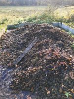 Pferdemist von Naturschutzwiese zu verschenken Lübeck - St. Gertrud Vorschau