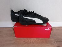 Fußball Schuhe Gr 40 Puma wie neu Hessen - Dautphetal Vorschau