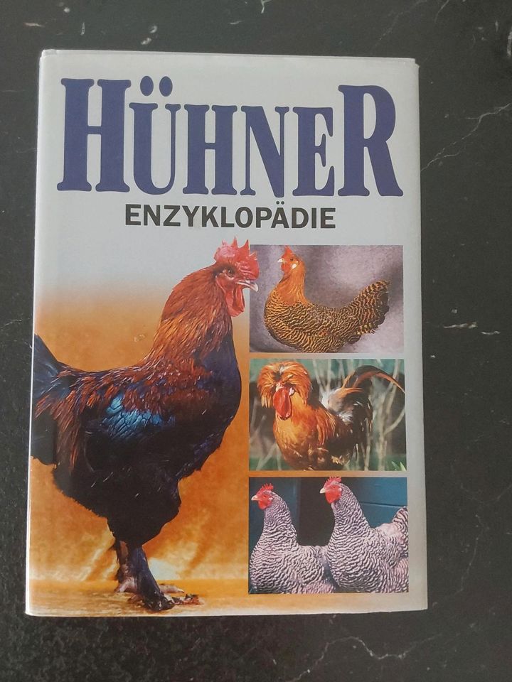 Hühner Enzyklopädie in Hanau