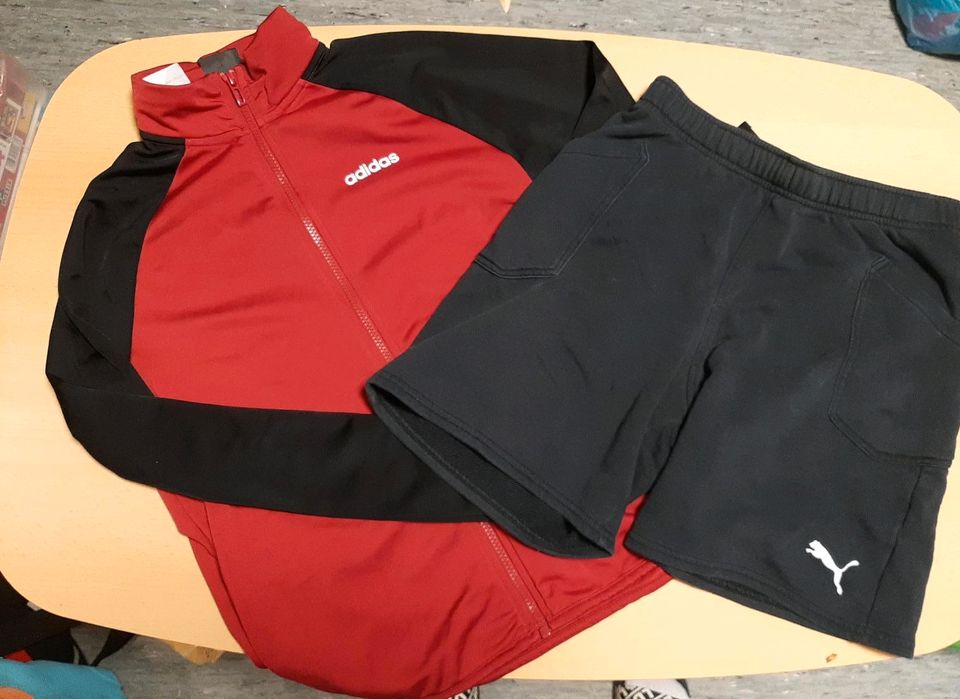 Sweatshirt Adidas und kurze Hose Puma 152 in Weinstadt