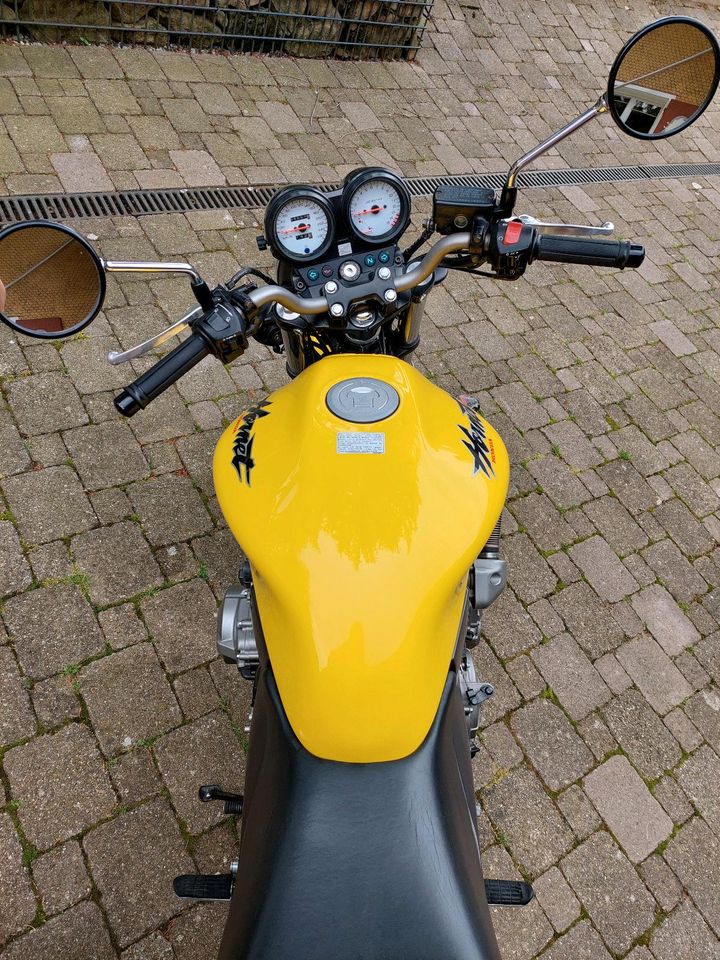 Honda CB600F Hornet in Durach