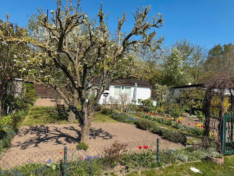 Kleingarten Rostock Südstadt in Rostock Südstadt Grundstück
