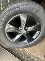 4 x Winterreifen Alufelgen Kompletträder Michelin Skoda Sachsen - Pirna Vorschau