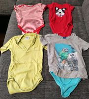 Baby Jungen Kurzarm Bodys Gr. 74 Je 0,50€ Bayern - Mönchberg Vorschau