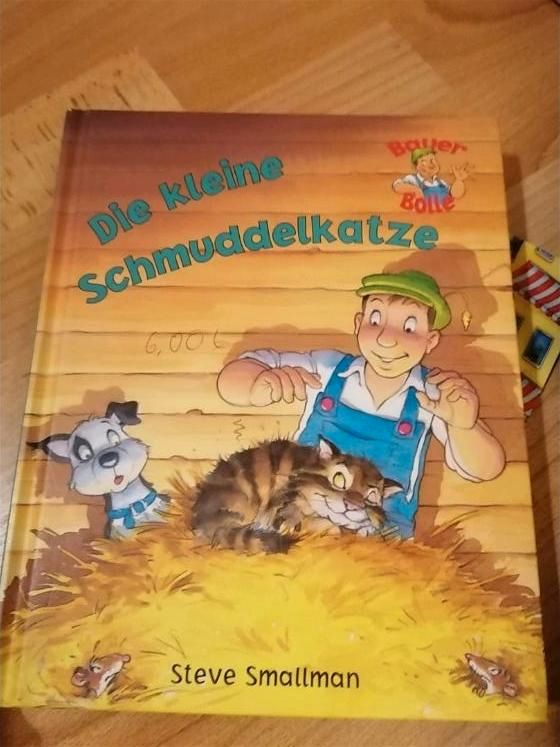 Kinderbücher viele verschiedene in Südliches Anhalt