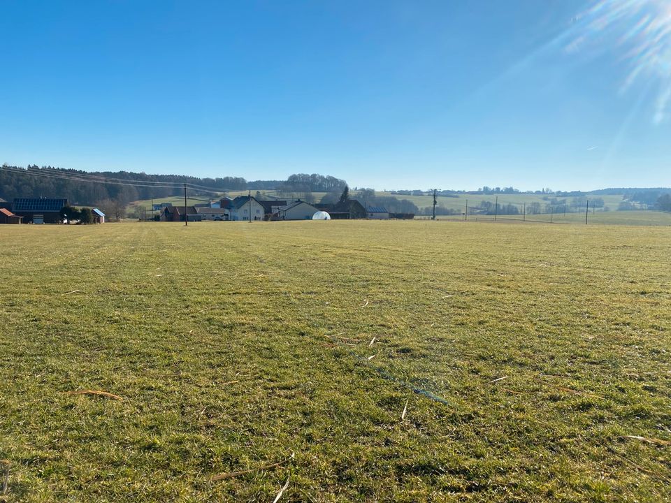 Landwirtschaftliches Grundstück mit Entwicklungspotenzial** in Breitenbrunn