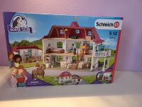 Schleich gebraucht 42416 Schleswig-Holstein - Rodenbek Vorschau