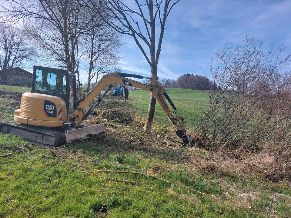 Fällgreifer, Kegelspalter, Durchforstung, Forst, Brennholz,Bagger in Weyarn