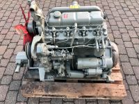 Perkins 4.236 Motor Bagger Boot Hanomag Radlader Niedersachsen - Meppen Vorschau