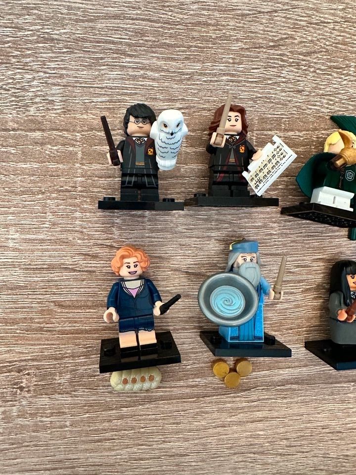 Lego Harry Potter, Disney Minifiguren in Dresden