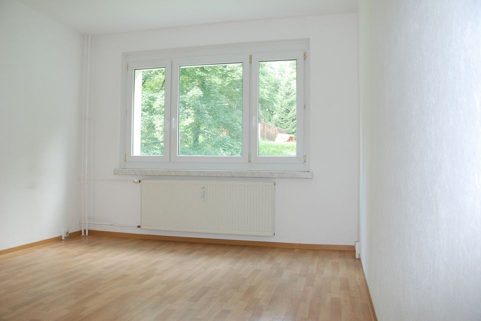 2-Raum-Wohnung nahe Stadtpark in Chemnitz