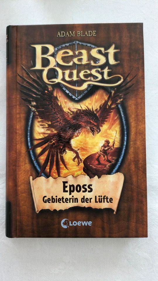 Beast Quest Jugend Bücher Drachen in Teuchern