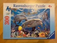 Delfin Puzzle Ravensburger 300 Teile Hessen - Oberursel (Taunus) Vorschau