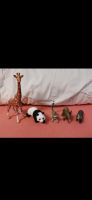 4 Schleich Tiere Alle zusammen 10 € Sachsen-Anhalt - Köthen (Anhalt) Vorschau