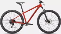 Specialized Rockhopper Comp 29 L Friedrichshain-Kreuzberg - Friedrichshain Vorschau