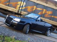 Treser Polo Gt Cabrio Audi Single Frame Porsche Felgen 16zoll Nordrhein-Westfalen - Erkrath Vorschau