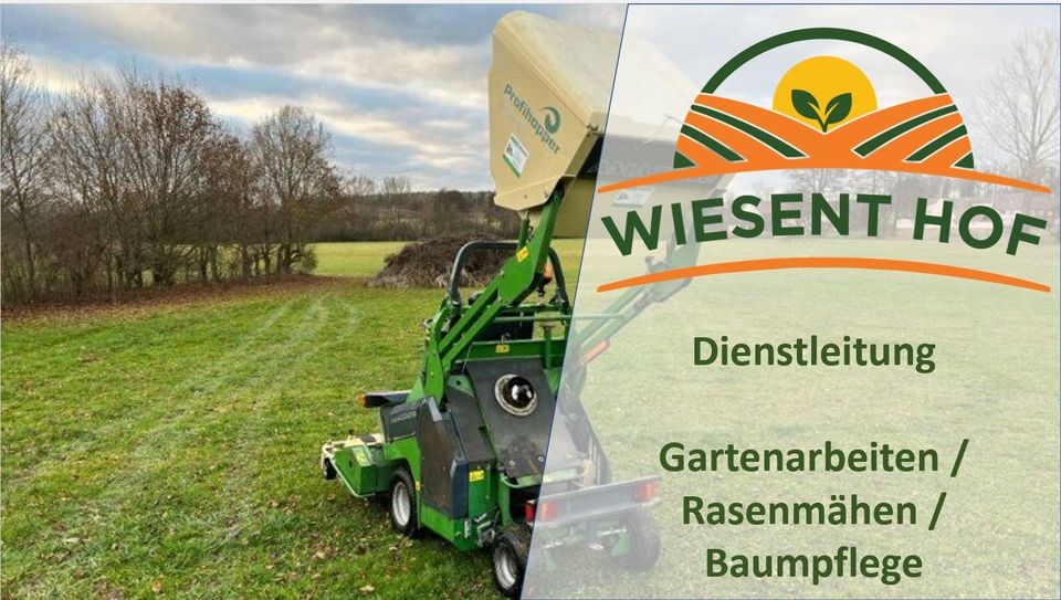 Dienstleistung Mäharbeiten / Rasenmähen / Garten- / Baumpflege in Eschenbach