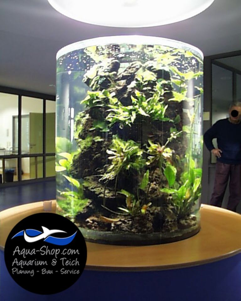 Aquarium Service Reinigung Wartung in Kassel in Kassel