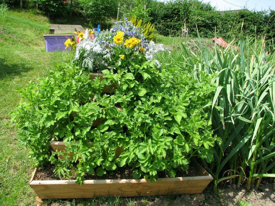 Hochbeet, Pyramide, Kräuterschnecke, Sofort Versandfertig. in Sandberg