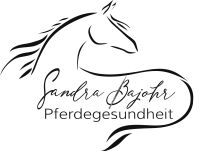 Osteopathie / APM/  Physiotherapie am Pferd Brandenburg - Woltersdorf Vorschau