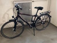 Pegasus Torino Lux Herrenfahrrad 28 Zoll Niedersachsen - Braunschweig Vorschau